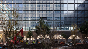 Plantation Emerige Morland Arbres