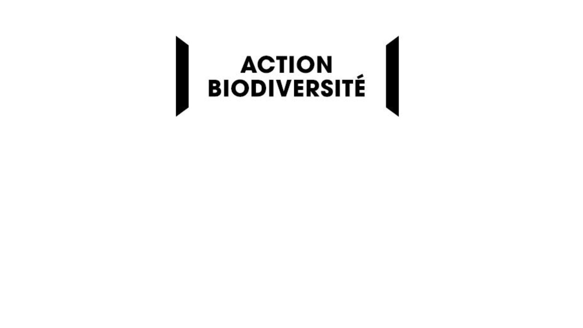 Action Biodiversité Emerige